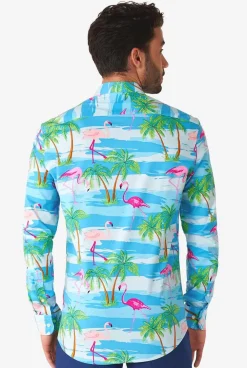 Discount OppoSuits Flaminguy