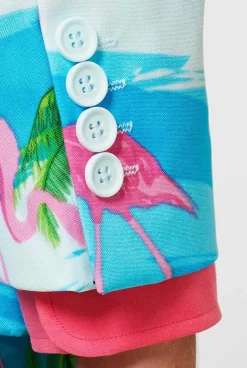 Fashion OppoSuits Flaminguy
